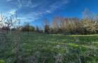 Teren de Vanzare la Valea Doftanei - Zona Peste Vale - 1