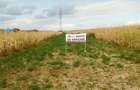 Teren Construcții intravilan de 6200 mp, în 9 Mai - 4