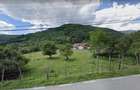 Teren de 300 mp, în Bran - 2