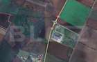 Teren extravilan de vanzare, 15000 mp zona Calea Feldioarei - 1