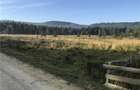 Vand teren Comandau (Covasna) - 3