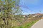 Casă cu 4 camere cu Teren 2686 Mp în Răcarii de Sus - 6