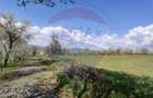 Teren Construcții intravilan de 1600 mp, în Cărbunari - 10