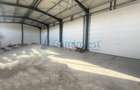 Hala industriala noua de inchiriat, Les, Bihor - 6