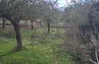 Ferma de vanzare , zona Dambu - 5