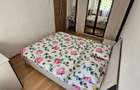Chirie 2 camere Micalaca - 7