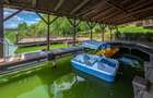 Casă individuală cu 10 camere cu Canalizare în Snagov - 12