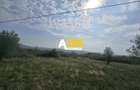 Teren Construcții intravilan de 510 mp, în Cetate - 3 Teren Construcții intravilan de 510 mp, în Cetate - 3