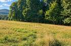 Vânzare teren extravilan pădure+ Pășune 17 000 mp Covasna - 5