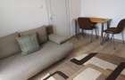 Inchiriez apartament cu o camera pe Calea 6 Vanatori - 6