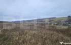 Teren intravilan 4774 mp de vanzare in Livezeni - 3