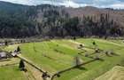 Vindem teren intravilan 8704 mp Vatra Moldovitei - Bucovina - 8