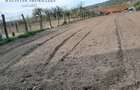 Casa 5 Camere, Teren 1600mp Zorlentu Mare - 4