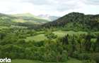 Teren intravilan de vanzare Sacele, zona Babarunca 4.000 mp - 6