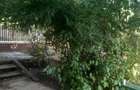 vand casa baicoi liliesti sipot nr 1 - 3