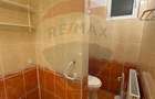 Apartament cu 3 camere la curte comuna, in zona Romanilor - 15