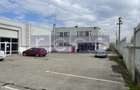 Spațiu industrial, de 7,233 mp, în Odăi - 1