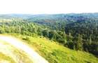 Teren de vanzare in Salicea, 10000 MP , Zona Moara de vant! - 9