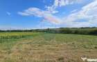 Teren extravilan 12000 mp- Padureni-?endriceni, Boto?ani - Padureni (sendriceni) (Botosani)