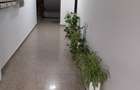 Apartament cu 2 camere semidecomandat în Valea Lupului - 3