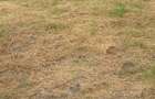 Vand teren intravilan - 4