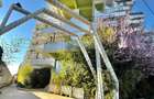 Studio 45MP - Complex Zig Zag | Mamaia Nord - 12