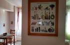 Apartament cu 2 camere semidecomandat în Străulești - 12