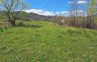teren intabulat extravilan 3600m - 9