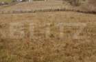 Teren ?aru Dornei 5 hectare - 5