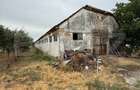 Ferma de Vanzare in judetul Timis, la nord est de Timisoara, 10ha 6 ha - 10