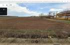 Vanzare teren intravilan 2000 mp Frumusani, sat Padurisu - 1