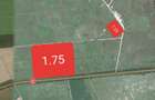 Pamant extravilan, 2 parcele a cate 17500mp respectiv 12500mp DN2 - 2