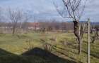 Casă individuală cu 4 camere cu Teren 1800 Mp în Buteni - 1