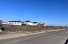 Teren Construcții intravilan de 6459 mp, în Nord - 1