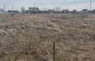 Teren intravilan 4650mp, dubla deschidere la DN5 & drum, Ocazie, urgent - 3