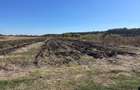 Teren Construcții intravilan de 1000 mp, în Corbeanca - 2