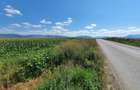 Teren agricol de 6900 mp, în Tărlungeni - 2