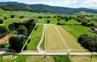 Teren intravilan,2.900mp,recomandat: investitional rezidentialconstruc - 4