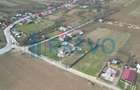 Teren de vanzare, Sat Bazga, Com. Horge?ti, Bacau - 9