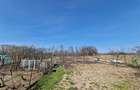 RECO Teren mare cu 2 case in Sabolciu, com. Sacadat - 23