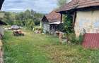Casa si anexe, teren 5000 mp Mineu, Salaj - 3