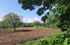 Fizes (Sag, Salaj) - 17.800mp teren intravilan + extravilan cu CF, PF - 3