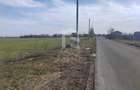 Cernica Tanganu Parcele 1023 mp la 17.000 euro - 2