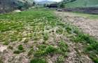 Teren 1059 mp in Raul Sadului Natura liniste si investitie - 4