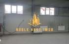 Hala industriala + sere + active business de vanzare Arges - 9