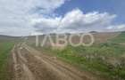 Teren intravilan de vanzare 4600mp deschidere 37m in Sura Mare Sibiu - 3