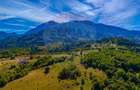 Teren agricol de 4253 mp, în Glăjărie - 3