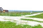 Teren Valea Avrigului (Avrig, Sibiu) - 9