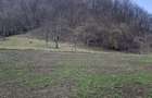 Teren intravilan de vanzare - 5