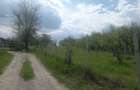 Teren intravilan 1700 mp - Drajna de Jos, Poiana Mierlei 15/mp, neg - 1
